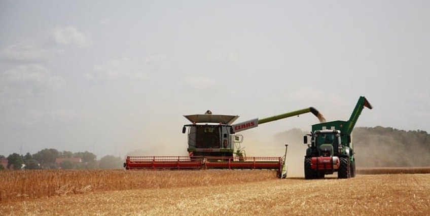 Trigo Volta A Ganhar Espaço No Mato Grosso Do Sul Após Décadas De Na Produção Notícias 2739