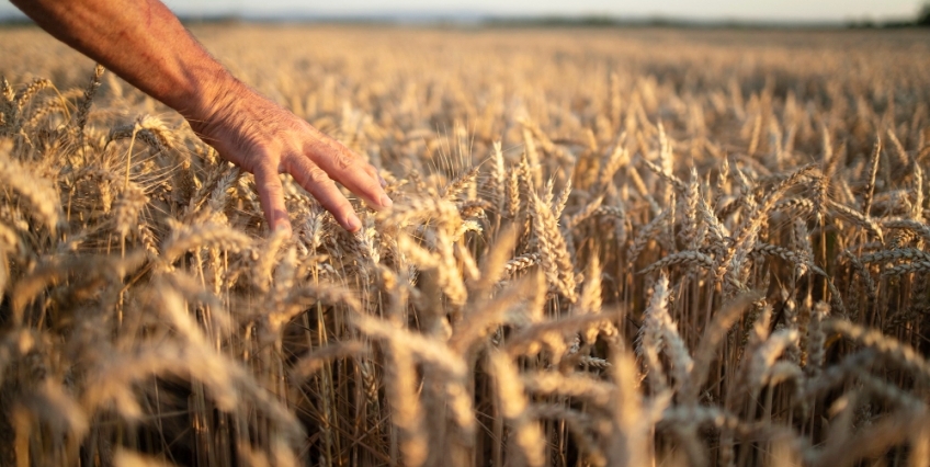 Clima - Notícias Agrícolas